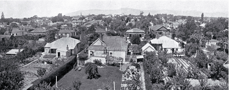 A city of gardens : a view of gardens at the back of surburban houses in Christchurch.
