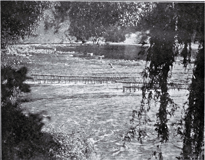 A pa tuna, or eel weir, on the upper reaches of the Wanganui River 