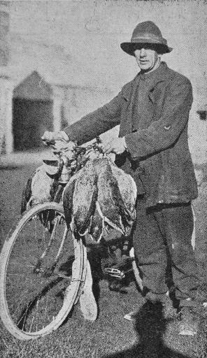 A bicycle with a heavy load of duck.