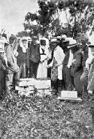 A demonstration with a modern hive: Mr Bowman, the Government Inspector, manipulating.