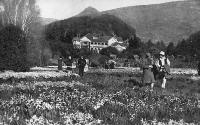Otahuna, the residence of Sir Heaton Rhodes, at Tai Tapu, showing some of the 1200 visitors on the field day of the Canterbury Horticultural Society.