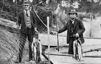 Opening of the trout-fishing season in Canterbury.