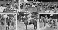 The annual show of the Courtenay A. and P. Association at Kirwee, Canterbury.