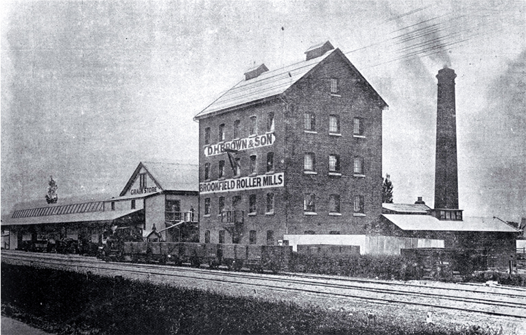 Brookfield Roller Mills, South Belt (Moorhouse Avenue), Christchurch 
