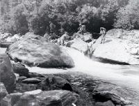 Architect Creek, West Coast 