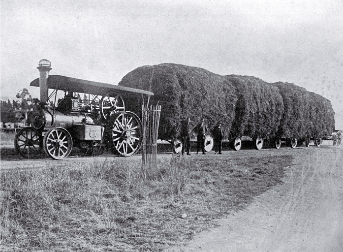 Mr E. G. Church's traction engine hauling 15 tons of clover from Greenstreet to A.E. Small's dairy farm at Wakanui, Ashburton 