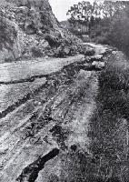 Scene of destruction caused by earthquake, 16 Nov. 1901 : a 2.5ft deep fissure on the road between Cheviot and Port Robinson.