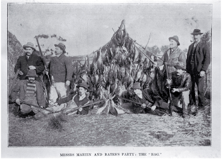 Messrs Martin and Baite's duck shooting party with their bag consisting of 96 ducks, 40 swamp hens, and 15 swans 