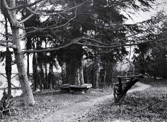 Improvements in the Millbrook Reserve as the result of the work of Richard Bedward Owen (1873-1948) 