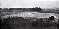 General view of the Christchurch Drainage Board's septic tank on the sewage farm, Bromley, Christchurch 