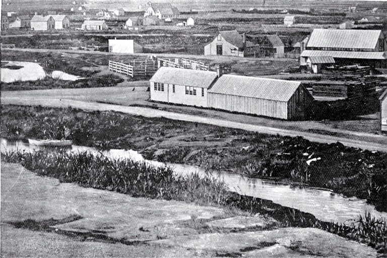 Market Place (now Victoria Square) from the site of the District and High Courts looking north-east 