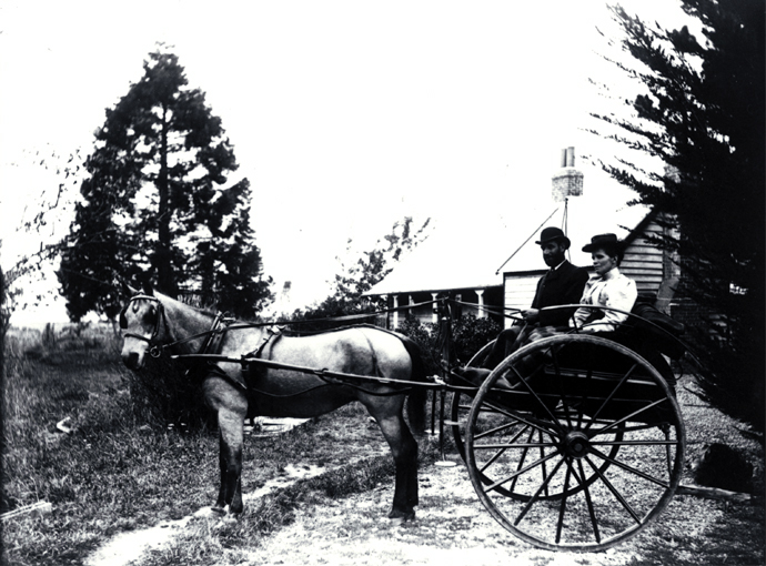 Gig outside a country homestead, Canterbury 