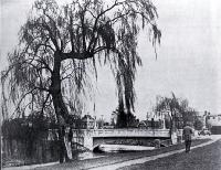 Along the Avon by the Carlton Mill bridge 