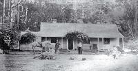 The old homestead at 