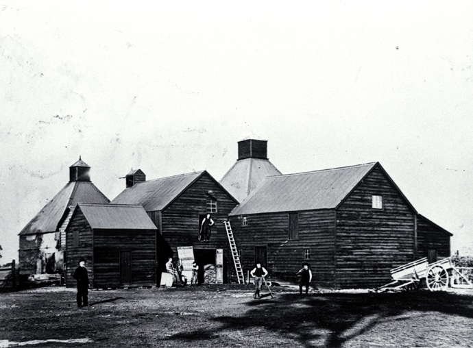 Chicory kilns on Jones Road, Templeton 