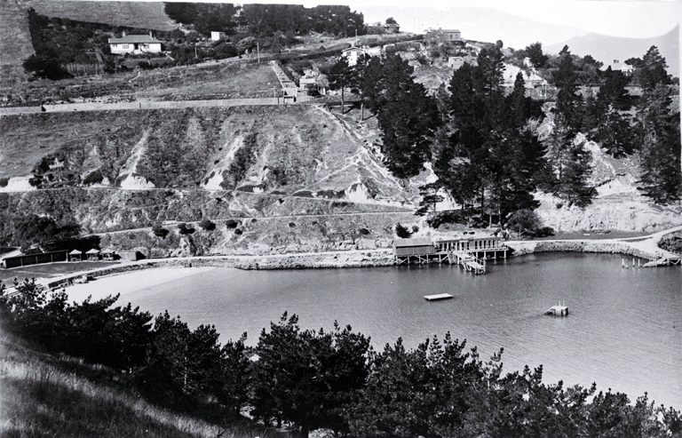 The beach at Corsair Bay, Lyttelton Harbour 