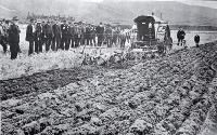A trial of a Jelbart oil tractor at Mr C.H. Ensor's White Rock Station 