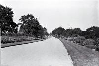 Timaru Park 
