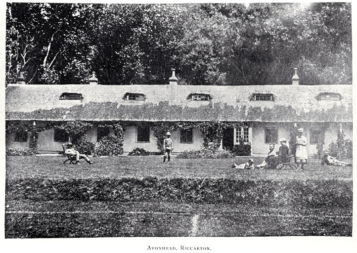 Avonhead 