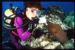 Angie Belcher underwater