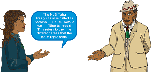 Whetu: 'The Ngai Tahu Treaty Claim is called Te Kereme - Rakau Teitei e Iwa - (Nine tall trees). This refers to the nine different areas that the claim represents.'