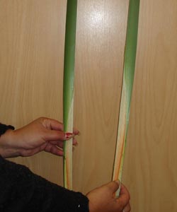 Slideshow image number 007