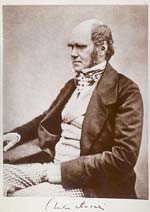 Charles Darwin seated - from Wikimedia Commons