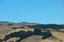 Manuka Pa Ridges, Photo by Tarlin Stirling, March 2014