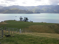 Ōpukutahi Reserve