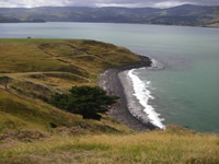 Ōpukutahi Reserve