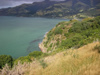Ōpukutahi Reserve