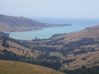 Wakaroa