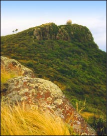 O Rongo Mai viewed from the Summit Road 