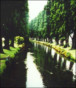 Ōtākaro: the Avon river 