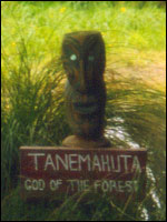 Carving of Tane Mahuta at Otukaikino