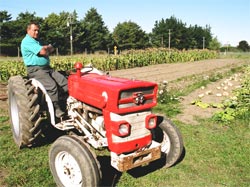  Norman Dewes in the vegetable garden at Tuahiwi