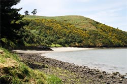 The beach at Rāpaki.