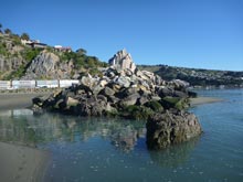 Shag Rock, photo by Tarlin Stirling, March 2013