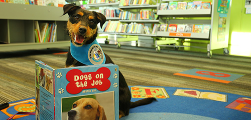 Reading to dogs