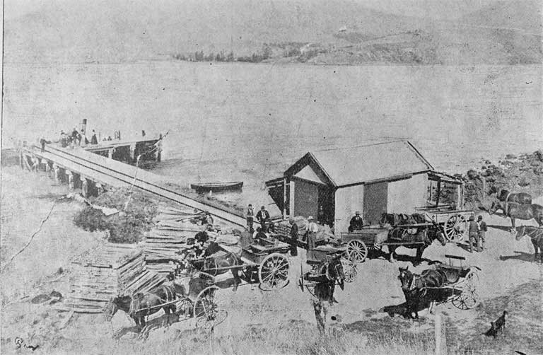 The wharf, Port Levy, at grass-seeding time