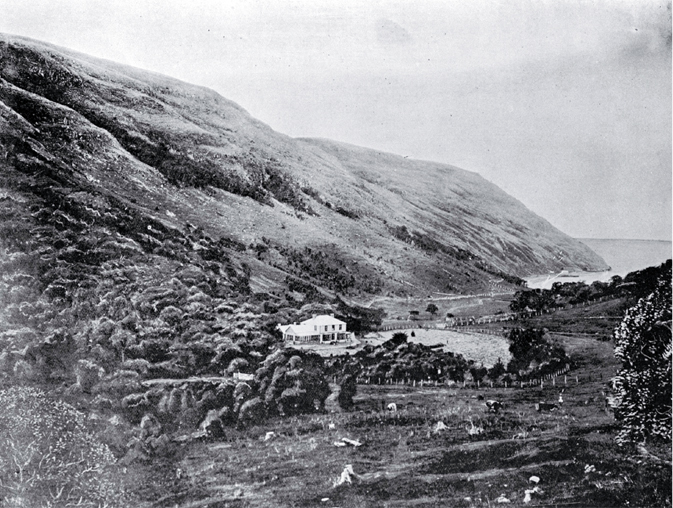 Menzies Bay, Banks Peninsula 