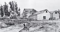 C. W. Turner's Canterbury Flour Mills, 234 Cashel Street, Christchurch