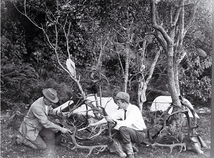 Deer shooting party with trophy heads 