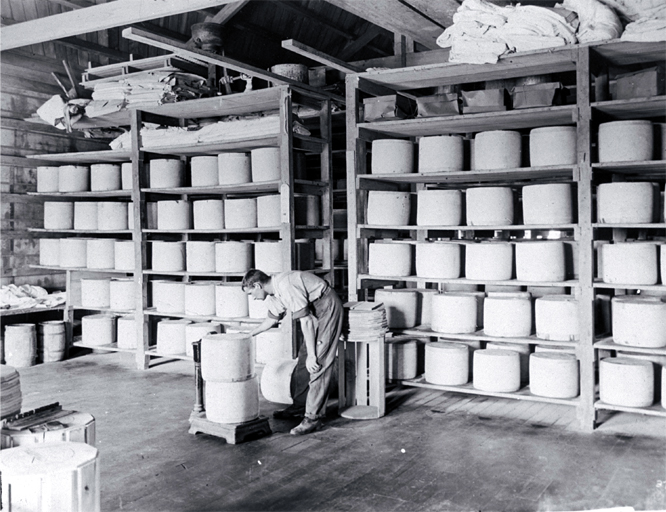 Interior of cheese factory, Dunedin? 