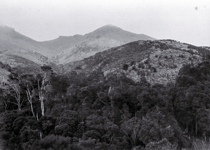 Cooper's Knob, Port Hills, Christchurch 