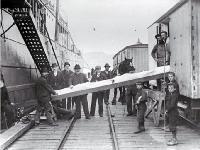 Loading frozen mutton on ship from railway wagon 