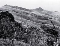 Cooper's Knob from Kennedy's Bush 