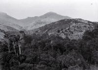 Cooper's Knob, Port Hills, Christchurch 