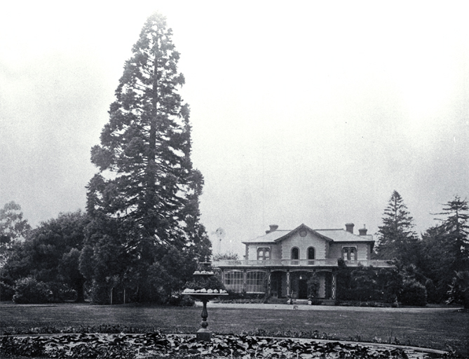Hawkesbury, St Albans 