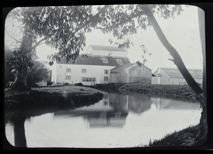 Woods Riccarton Mill in 1895 